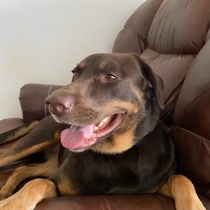 Meet your Posher, Suzanne